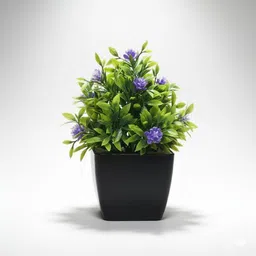 kraftbix Bonsai Artificial Plant with Pot image 4