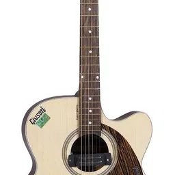 givson Venus Rose Semi-acoustic Guitar Rosewood Rosewood Right Hand Orientation-picture-27