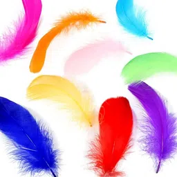 airtick (Pack of 80pc) Multi-Purpose Natural Dyed Craft Feathers for Art & Craftworks image 4