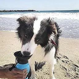 bhakti enterprise Water Bottle for Pets Dog Portable Aqua Dog Travel Bowl 20-oz Dog Bottle Plastic Pet Bottle image 3