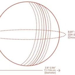 prsports Cricket Balls Cricket Leather Ball image 4