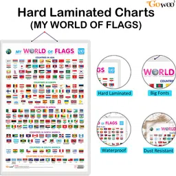 go woo Pack of 2 Solar System and My World of Flags Educational charts image 2