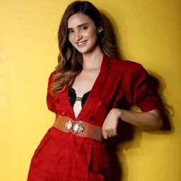 redhorns Women Casual, Evening, Party, Formal Brown Fabric Belt image 4