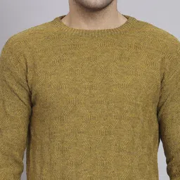 ewools Men Self Design Round Neck Gold Sweater image 4