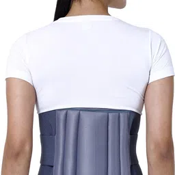 prourban LS GREY Back / Lumbar Support image 1