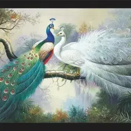 poorvika enterprises Elegant Peacock with Lotus Wall Art Photo Frame for Home & Office Décor Digital Reprint 9 inch x 12 inch Painting-picture-10