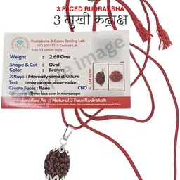 3 mukhi rudraksha, Silver Beads Brass Pendant Set-image-0