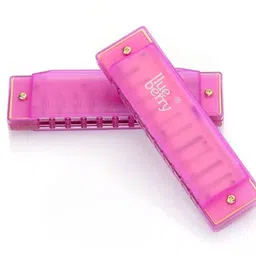 blueberry R-1011, Key C | 10 Holes|20Tones| Blues Harp Educational Mouth Organ Harmonica-picture-10