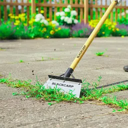 blackcarp PLATE Spade image 2