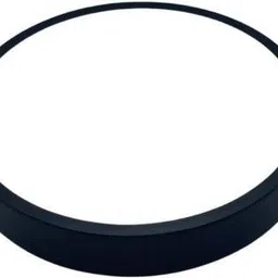 active APL PB-22R Ceiling Light Ceiling Lamp-picture-13