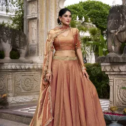 looknbook art Embroidered Semi Stitched Lehenga Choli-picture-47