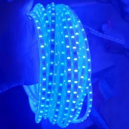 ascension 360 LEDs 3 m Blue Steady Strip Rice Lights-picture-21