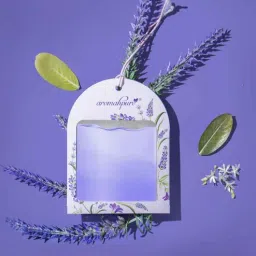 aromahpure (Pack of 3) Lavender Dream Gel Wink Hanging Car Perfume-picture-12