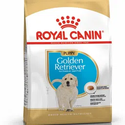 Golden Retriever Puppy 3 kg Dry Young Dog Food-image-74