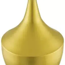 areezo Pendants Ceiling Lamp image 4