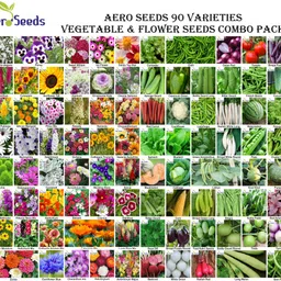 aero seeds AE_45F+45V Seed-picture-20