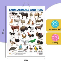go woo FRUITS CHART GLOSS LAMINATED, FLOWERS CHART GLOSS LAMINATED, FARM ANIMALS AND PETS CHART GLOSS LAMINATED, and VEGETABLE CHART GLOSS LAMINATED | combo of 4 charts |Nature's Bounty and Blooms: A Visual Journey Paper Print image 5