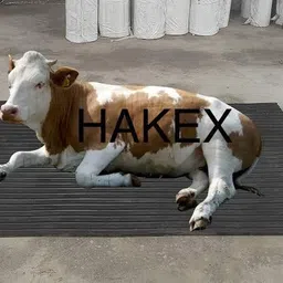 hakex COW MAT-Waterproof Rubber-Black31 (Mat 8*5 Feet) BPA Free For Horse- | Cow, Dog, Hamster, Guinea Pig, Miniature Pig Pet Mat-picture-26