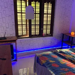 astern 120 LEDs 3 m Blue Steady Strip Rice Lights image 5