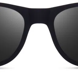 rich club Polarized Wayfarer Sunglasses (52) image 2