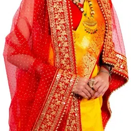 tinytwist Net Embroidered Red Women Dupatta image 5