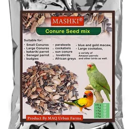 mashki Conure Seed Mix All Life Stage 24 Variety Mix Seeds for Daily Bird Food Nuts 2 kg Dry Adult Bird Food-picture-27
