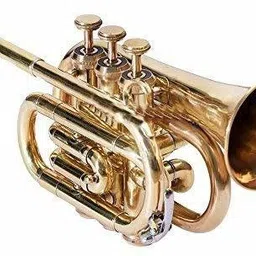 pocket trumpet brass Bb Trumpet-image-13