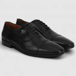 louis philippe Oxford For Men image 2