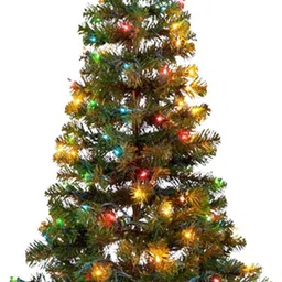 craftvatika Fir 121.92 cm (4.0 ft) Artificial Christmas Tree-picture-11