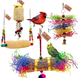 greenbirds Combo Of 4 Bird Toys Swing, Foraging Shredder Toys Cage Hanging Bird & Parrot Wooden Chew Toy, Training Aid, Perch For Bird-picture-14