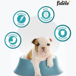 fidele STARTER PUPPY 3KG Chicken 3 kg Dry New Born Dog Food image 4
