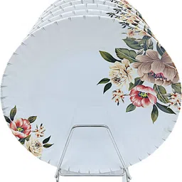 perfectdine NEW2025_1831 dinner plate set pack of 6 Dinner Plate-picture-11