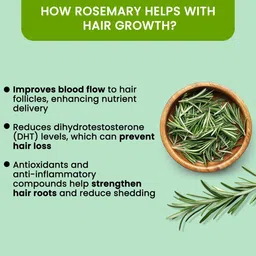 glowy Rosemary Powder – Pure Herbal Goodness for Hair Regrowth & Skin Health image 3