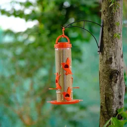 skybeings Hanging Bird Feeder | 6 Ports | 900 g | Pack of 1 Window Bird Feeder image 5