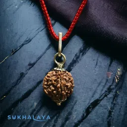 whitechimes 5 Mukhi Nepali Rudraksha Panch Mukha Five Face Mantra Siddha Rudraksh Certified Silver Onyx Silver Pendant image 1