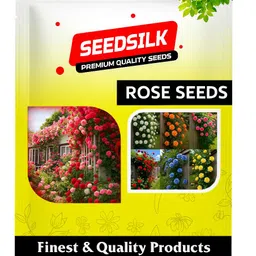 seedsilk Rose Seeds for Home Gardening | High germination rate Seed image 3