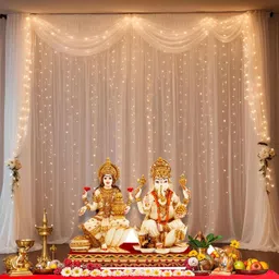 shimmers White Net Curtain with LED Light for Backdrop, Canopy, Wedding or Ganpati Decor image 3