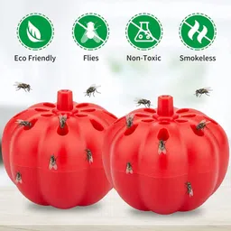 jiyancreation Fruit Fly Trap Vietnam Fruit Fly Trap Gnat Killer for Indoor Plastic Fruit & Vegetable Basket image 3