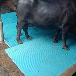 Natural Rubber Cow Mat, Interlocking Mats Cow, Dog, Hamster, Guinea Pig, Miniature Pig Pet Mat-image-14