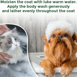 petsware Cat Body Wash,5 in 1 cat Shampoo+Conditioner for PersianCats Hypoallergenic, Conditioning, Anti-fungal, Flea and Tick, Allergy Relief Aloe Vera Cat Shampoo image 4