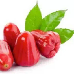 cloud farm Jamun Plant image 2