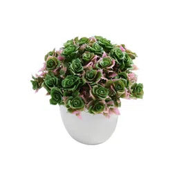 foliyaj Plastic Green And Pink With Pot Artificial Plants image 5
