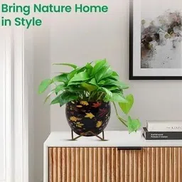 vedic vaidehi solution Floral-Leaf Design Planter/Flower Pot/Container with Iron Stand Plant Container Set image 3
