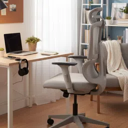 bezome Maestro – Effortless Sophistication | Premium Ergonomic Chair Polyester, Mesh, Fabric Office Adjustable Arm Chair-picture-19