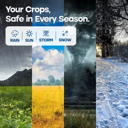 double kissan 12FTX12FT-80-Y Tent - For Suitable For: Household Storage, Balcony Shade, 2-Wheeler Cover, Rain Protection image 5