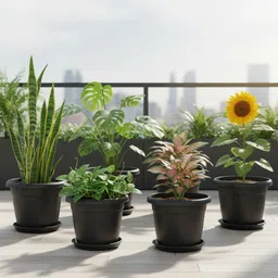 snshopee (Pack of 5) Premium 10" Plant Pots with Bottom Plate Planters Flower Pots Plant Container Set image 5