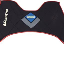 ramanta RMT-0643 Washable Soft Rubber Floor Mat/Foot Mat Compatible for Hero Maestro Edge 125 Two Wheeler Mat image 2