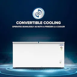 blue star 301 L Double Door Convertible Deep Freezer-picture-16