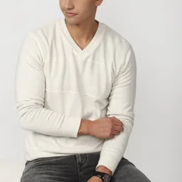 peter england Men Self Design V Neck Beige Sweater-picture-15