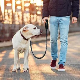 mil9us Strong Durable Nylon Leash with Comfortable Padded Handle Dog & Cat Head Collar image 5